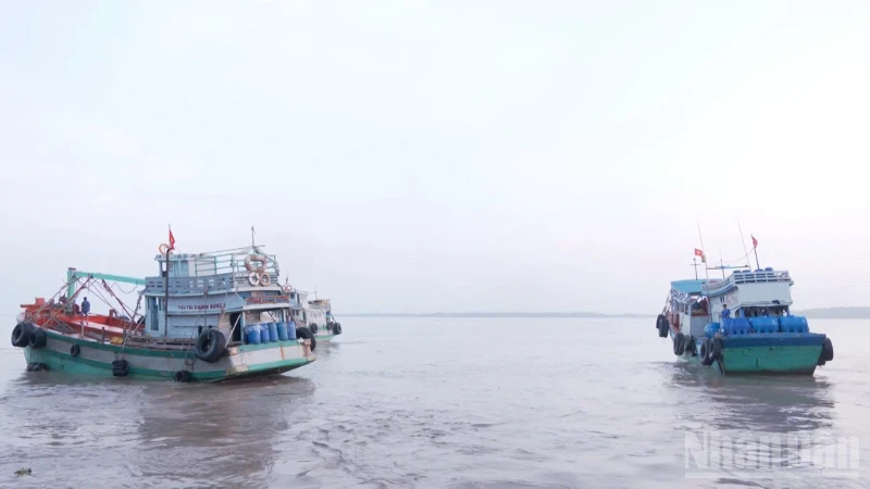 Cần Thơ siết quản lý, hướng đến phát triển bền vững ngành thủy sản Cần Thơ siết quản lý, hướng đến phát triển bền vững ngành thủy sản