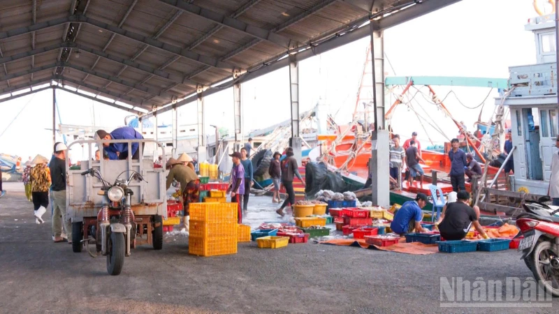 Cần Thơ siết quản lý, hướng đến phát triển bền vững ngành thủy sản Cần Thơ siết quản lý, hướng đến phát triển bền vững ngành thủy sản