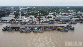 Cần Thơ siết quản lý, hướng đến phát triển bền vững ngành thủy sản