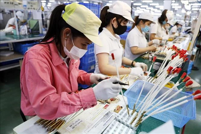 Cần vai trò dẫn dắt của tập đoàn kinh tế trong nước để gia tăng giá trị xuất khẩu