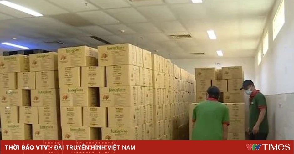 Cảnh giác bẫy lừa đảo trong xuất khẩu nông sản Cảnh giác bẫy lừa đảo trong xuất khẩu nông sản