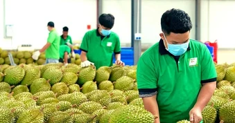 Cấp mã số vùng trồng: Chuyển từ 'xin - cho' sang tự chịu trách nhiệm