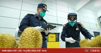 Cắt giảm nhiều thủ tục phân loại hàng hóa xuất nhập khẩu từ ngày 15/9