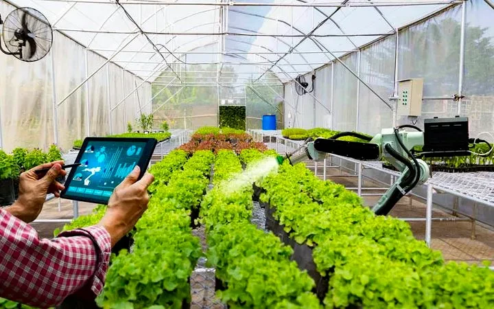 Cắt giảm thủ tục lĩnh vực trồng trọt và bảo vệ thực vật