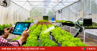 Cắt giảm thủ tục lĩnh vực trồng trọt và bảo vệ thực vật
