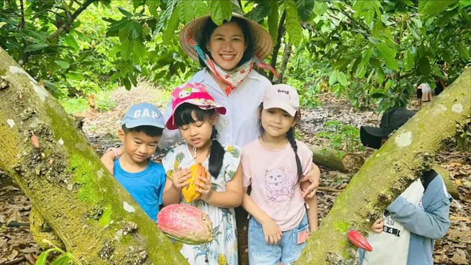 Cây ca cao hồi sinh trên vùng đất đỏ Cây ca cao hồi sinh trên vùng đất đỏ