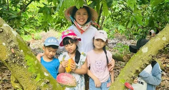 Cây ca cao hồi sinh trên vùng đất đỏ
