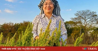Cây MS Nữ Hoàng: Tiềm năng lớn, càng cần quản lý chặt nguồn giống