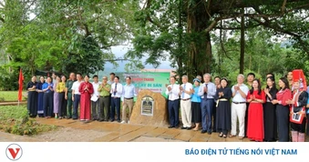 Cây trăm tuổi mở lối kinh tế di sản trên biên giới Hoành Mô (Quảng Ninh)
