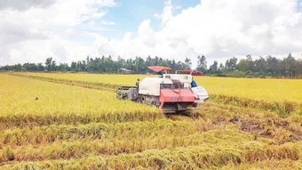Chặn đà giảm giá nông sản xuất khẩu