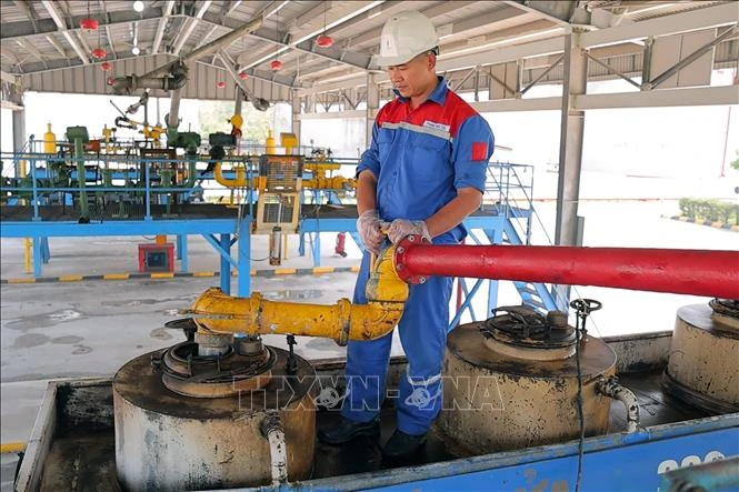 Chạy nước rút cho xăng E10, doanh nghiệp hoàn tất chuẩn bị hạ tầng và nguồn cung