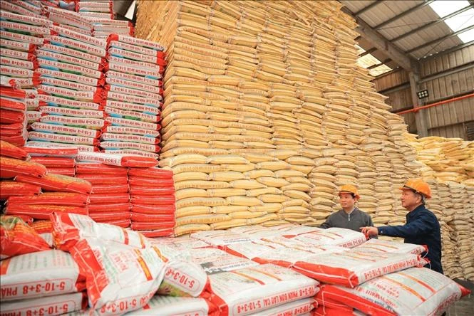 Chiến lược an ninh lương thực trong bối cảnh xung đột - Bài cuối: Ứng phó nguy cơ gián đoạn chuỗi cung ứng phân bón Chiến lược an ninh lương thực trong bối cảnh xung đột - Bài cuối: Ứng phó nguy cơ gián đoạn chuỗi cung ứng phân bón