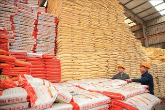 Chiến lược an ninh lương thực trong bối cảnh xung đột - Bài cuối: Ứng phó nguy cơ gián đoạn chuỗi cung ứng phân bón