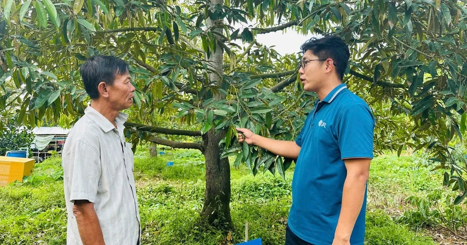 Chiến lược quản lý đồng bộ, bền vững cho nông sản