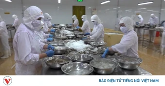 Chiến lược tăng trưởng xuất khẩu 2026 chuyển dịch từ lượng đến chất