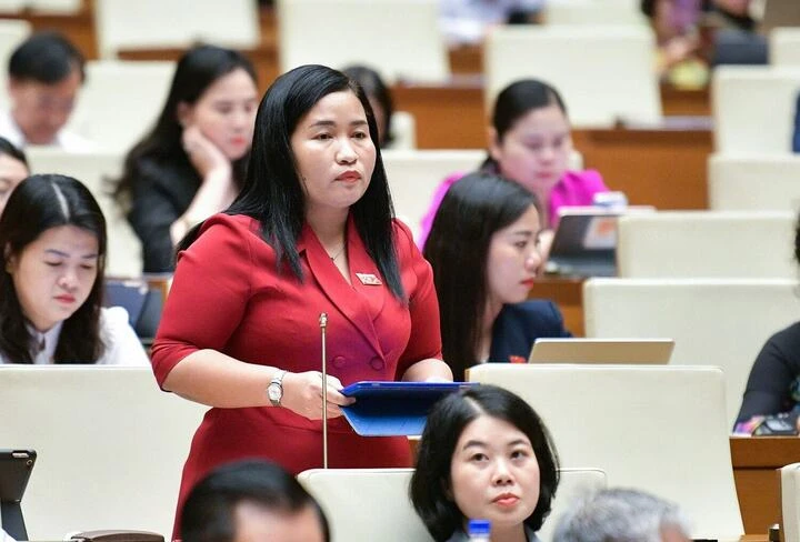 Chính phủ ủng hộ phát triển điện hạt nhân, Đại biểu Quốc hội nói gì? Chính phủ ủng hộ phát triển điện hạt nhân, Đại biểu Quốc hội nói gì?