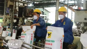 Chính sách thuế phân bón cần theo kịp thị trường để không bỏ lỡ cơ hội xuất khẩu