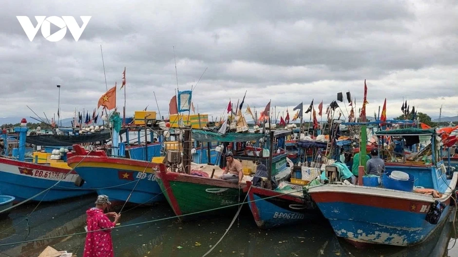 Chống khai thác IUU, Gia Lai đã lắp đặt nhật ký điện tử cho hơn 3.000 tàu cá Chống khai thác IUU, Gia Lai đã lắp đặt nhật ký điện tử cho hơn 3.000 tàu cá