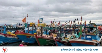 Chống khai thác IUU, Gia Lai đã lắp đặt nhật ký điện tử cho hơn 3.000 tàu cá