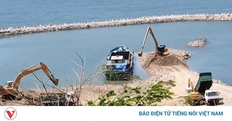 Chủ đầu tư dọn chất thải để khắc phục ô nhiễm biển Vũng Tàu sau phản ánh của TinVina