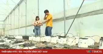 Chủ động giảm chi phí, duy trì sản xuất