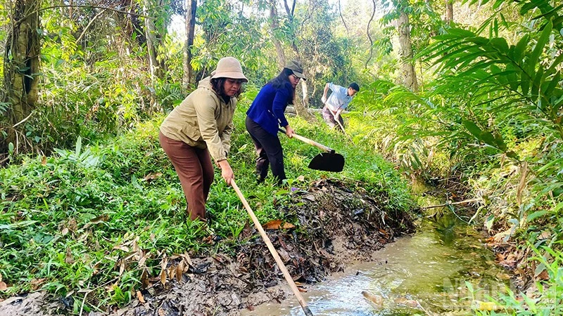 Chủ động giữ nguồn sống cho cây trồng Chủ động giữ nguồn sống cho cây trồng