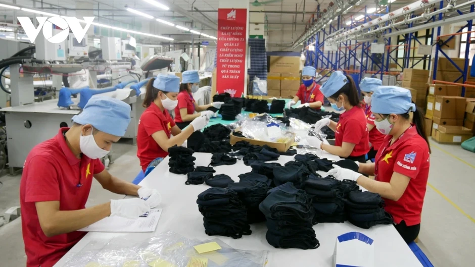 Chủ động kế hoạch sản xuất, xuất khẩu trước những biến động thị trường Chủ động kế hoạch sản xuất, xuất khẩu trước những biến động thị trường
