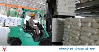 Chủ động kế hoạch sản xuất, xuất khẩu trước những biến động thị trường