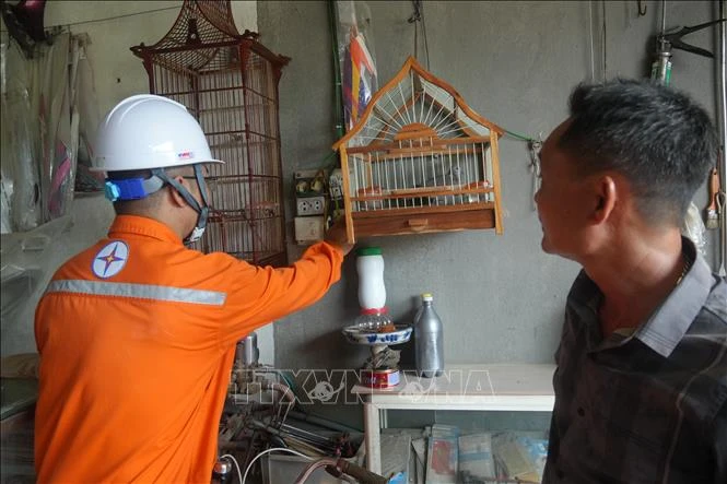 Chủ động loại bỏ nguy cơ giữ an toàn về điện mùa mưa bão