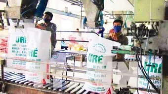 Chủ động nguồn cung, bình ổn giá phân bón