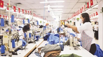 Chủ động ứng phó trước biến động thị trường
