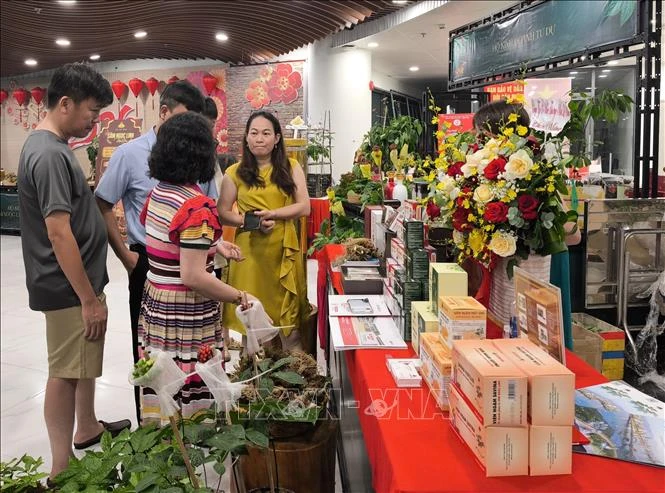 Chuẩn hóa chất lượng, mở cơ hội cho sâm Ngọc Linh trên thị trường quốc tế Chuẩn hóa chất lượng, mở cơ hội cho sâm Ngọc Linh trên thị trường quốc tế