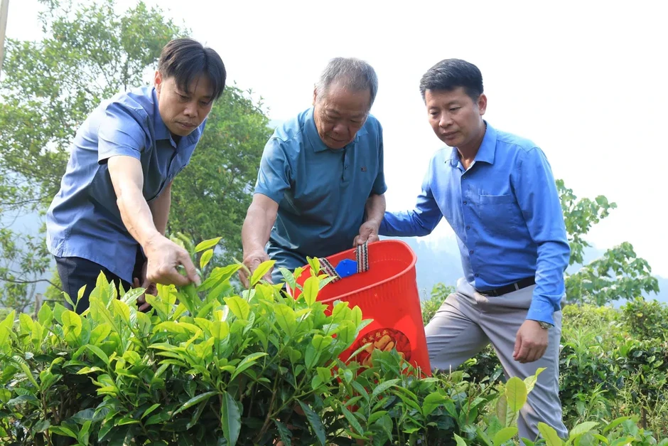 Chuyển đổi cây trồng trên vùng đất "khát" Chuyển đổi cây trồng trên vùng đất "khát"