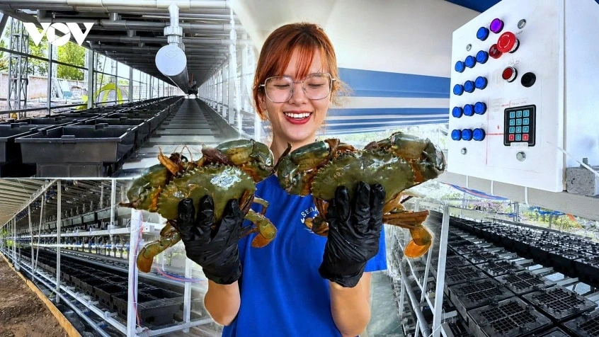 Chuyển đổi số nông nghiệp: Bắt đầu từ người nông dân gỡ nút thắt từ thị trường Chuyển đổi số nông nghiệp: Bắt đầu từ người nông dân gỡ nút thắt từ thị trường