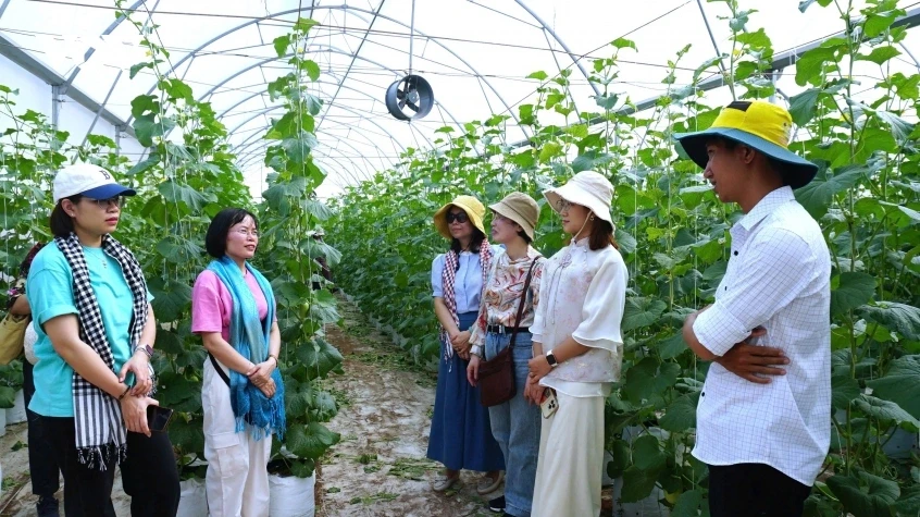 Chuyển đổi số nông nghiệp: Bắt đầu từ người nông dân gỡ nút thắt từ thị trường Chuyển đổi số nông nghiệp: Bắt đầu từ người nông dân gỡ nút thắt từ thị trường