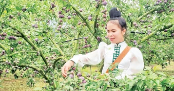 Chuyển đổi số trong sản xuất nông nghiệp xanh