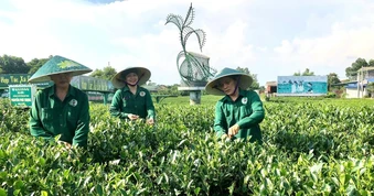 Chuyển đổi số trong sản xuất nông nghiệp