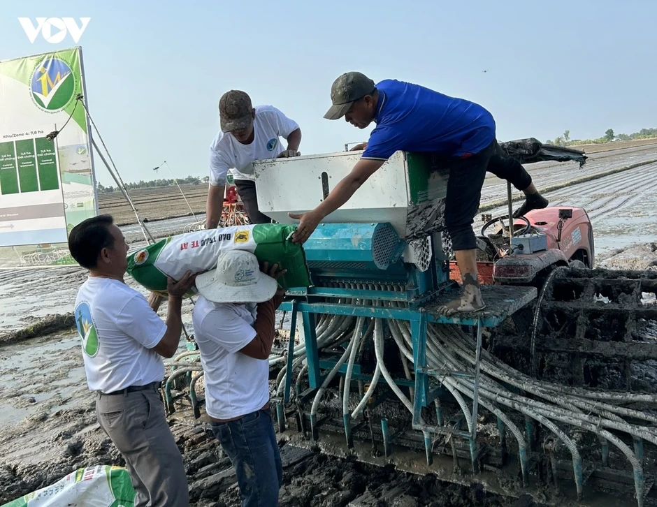 Chuyển đổi xanh cho hạt gạo Đồng bằng sông Cửu Long Chuyển đổi xanh cho hạt gạo Đồng bằng sông Cửu Long