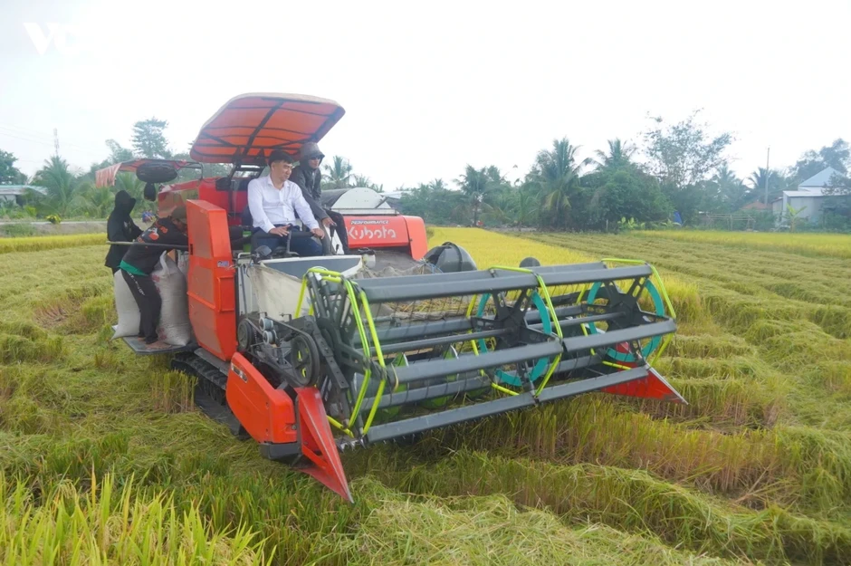 Chuyển đổi xanh cho hạt gạo Đồng bằng sông Cửu Long Chuyển đổi xanh cho hạt gạo Đồng bằng sông Cửu Long