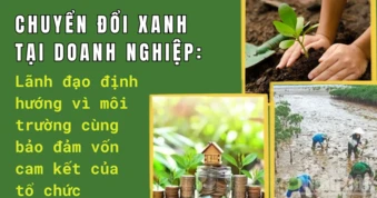 Chuyển đổi xanh tại doanh nghiệp: Lãnh đạo định hướng vì môi trường cùng bảo đảm vốn cam kết của tổ chức