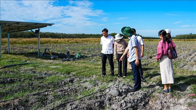 Chuyển sản xuất nhỏ lẻ sang liên kết chuỗi Chuyển sản xuất nhỏ lẻ sang liên kết chuỗi