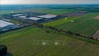 Chuyển sản xuất nhỏ lẻ sang liên kết chuỗi