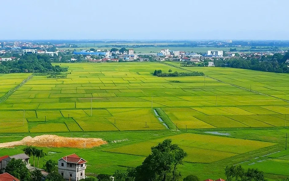 Cơ chế đặc thù xử lý vi phạm pháp luật về đất đai trước năm 2024 Cơ chế đặc thù xử lý vi phạm pháp luật về đất đai trước năm 2024
