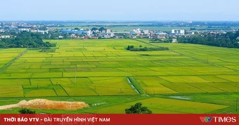 Cơ chế đặc thù xử lý vi phạm pháp luật về đất đai trước năm 2024