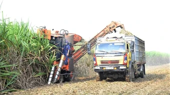 Cơ giới hóa mở lối cho nông nghiệp quy mô lớn