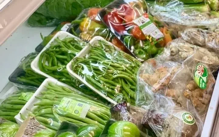 Cơ hội 10 tỷ USD rau quả xuất khẩu và yêu cầu nâng chuẩn chất lượng, bao bì Cơ hội 10 tỷ USD rau quả xuất khẩu và yêu cầu nâng chuẩn chất lượng, bao bì