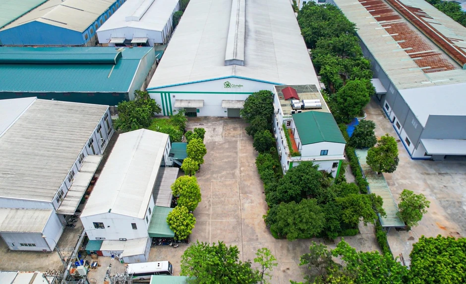 Cỏ Mềm: Hành trình từ thương hiệu truyền cảm hứng đến tiên phong phát triển bền vững Cỏ Mềm: Hành trình từ thương hiệu truyền cảm hứng đến tiên phong phát triển bền vững