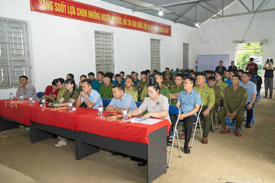 Cỏ Mềm và hành trình vun đắp 'rừng di sản' cho mai sau Cỏ Mềm và hành trình vun đắp 'rừng di sản' cho mai sau