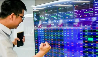 Cổ phiếu Vinaconex tăng kịch trần