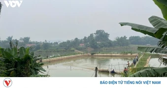 Có thể đăng ký hợp tác xã trực tuyến từ 23/7